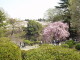 img0045.jpg