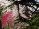 img0046.jpg