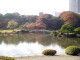 img0047.jpg