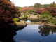 img0049.jpg