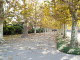 img0053.jpg