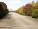 img0060.jpg