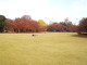 img0065.jpg