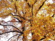 img0067.jpg