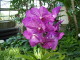 img0076.jpg