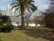 img0082.jpg