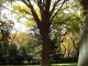 img0085.jpg