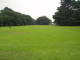 img0087.jpg