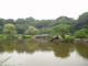 img0091.jpg