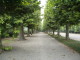 img0097.jpg