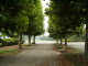 img0100.jpg