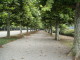 img0101.jpg