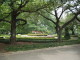 img0105.jpg