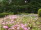 img0107.jpg