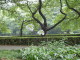 img0112.jpg