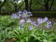 img0113.jpg