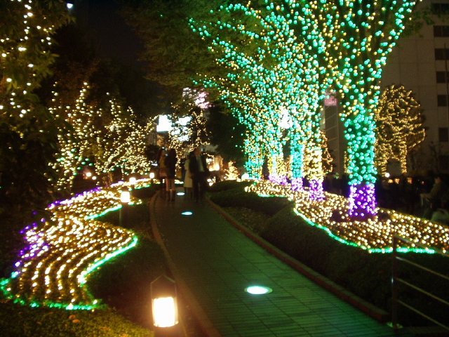 img0004.jpg