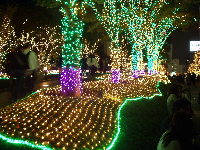 img0005.jpg