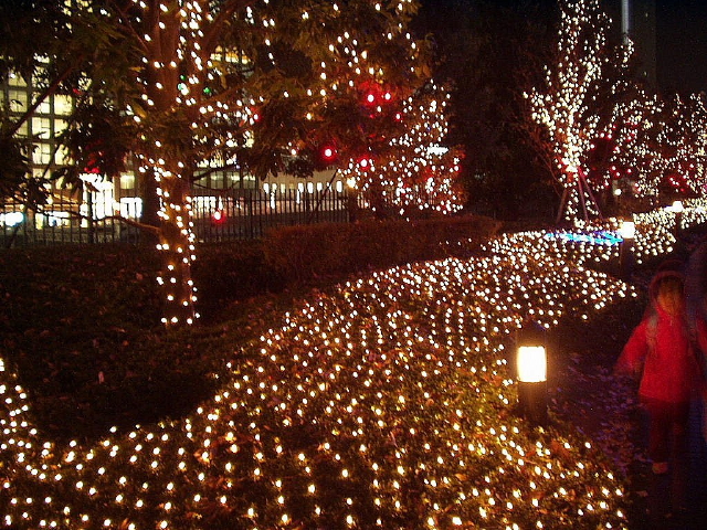img0027.jpg