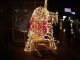 img0015.jpg