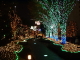 img0032.jpg