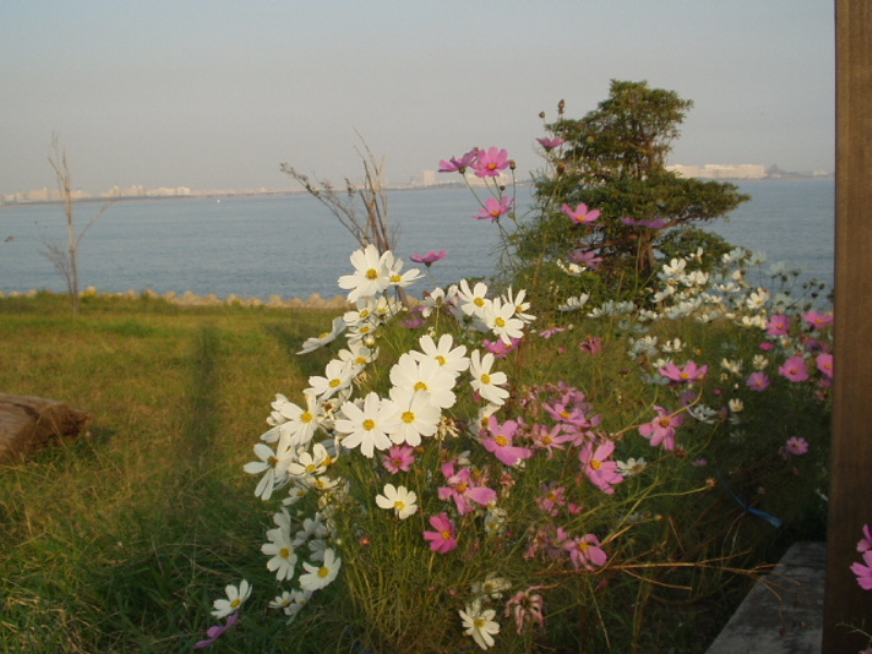 img0007.jpg