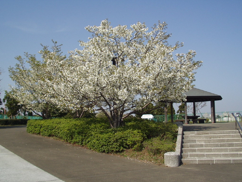 img0012.jpg