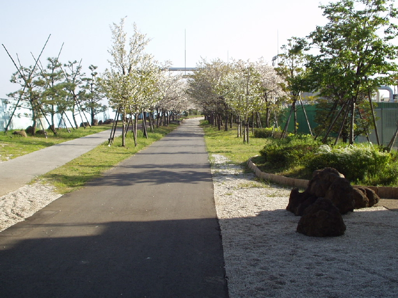 img0016.jpg