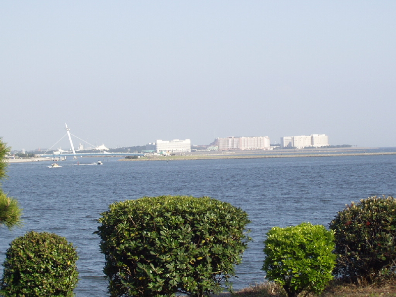 img0019.jpg
