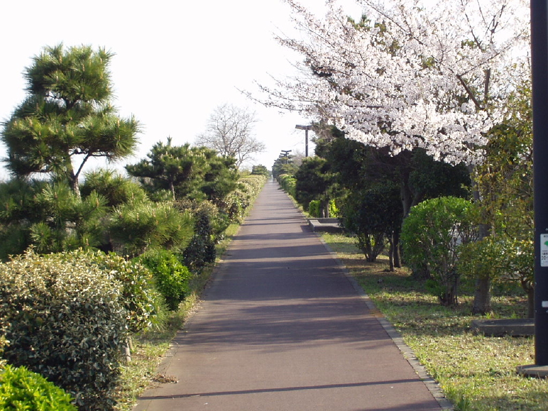 img0020.jpg