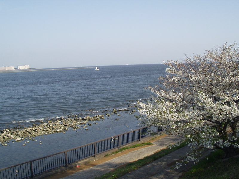 img0023.jpg