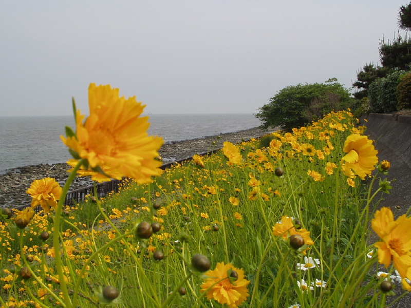 img0025.jpg