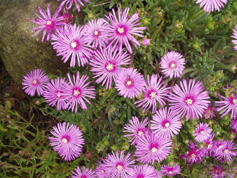 img0028.jpg