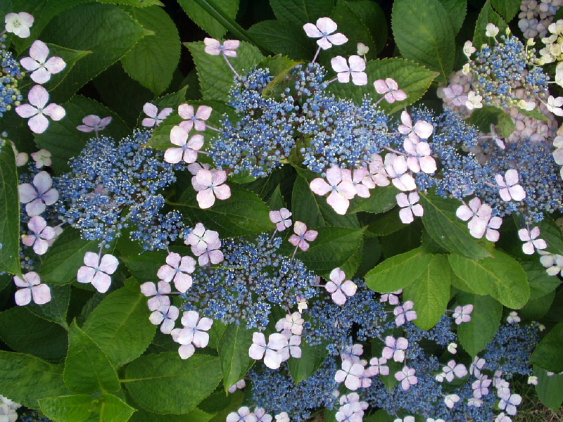 img0032.jpg