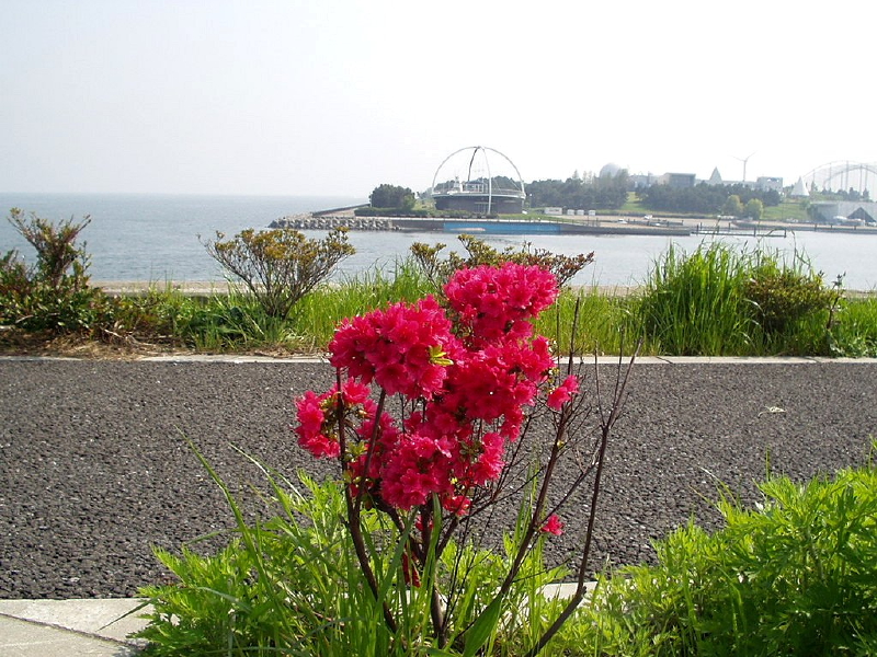 img0055.jpg
