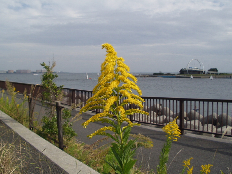 img0058.jpg