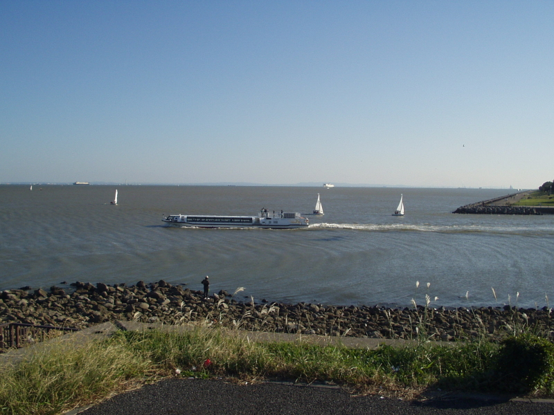 img0091.jpg