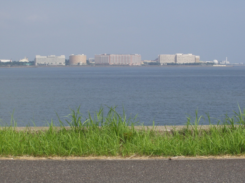 img0108.jpg