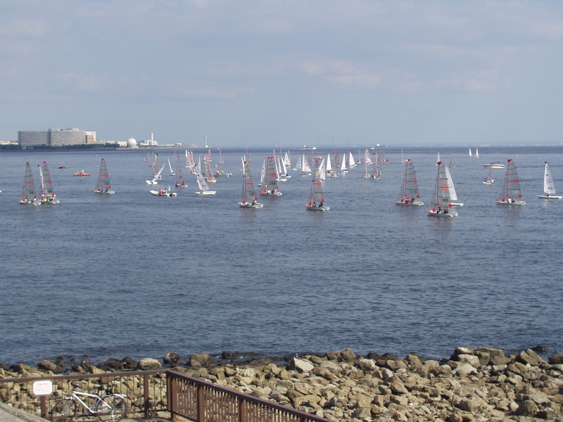 img0111.jpg
