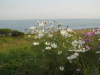 img0006.jpg