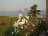 img0007.jpg