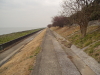 img0009.jpg