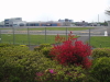 img0010.jpg