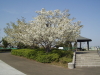 img0012.jpg