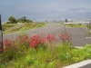 img0014.jpg