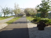 img0016.jpg