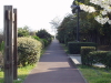 img0017.jpg
