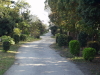 img0018.jpg