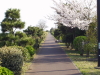 img0020.jpg