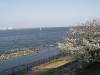 img0023.jpg
